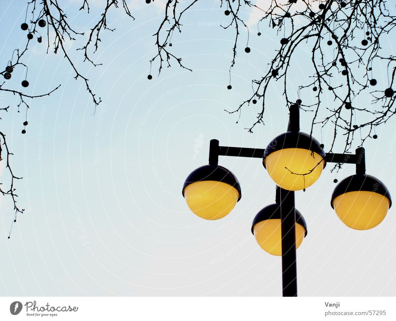 lantern Lantern Yellow Round Tree Sphere Branch Blue Sky Weather Exterior shot
