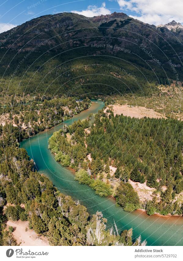 Aerial view of a tranquil turquoise river meandering through a lush forest in the heart of Argentinian Patagonia, capturing the essence of pristine wilderness