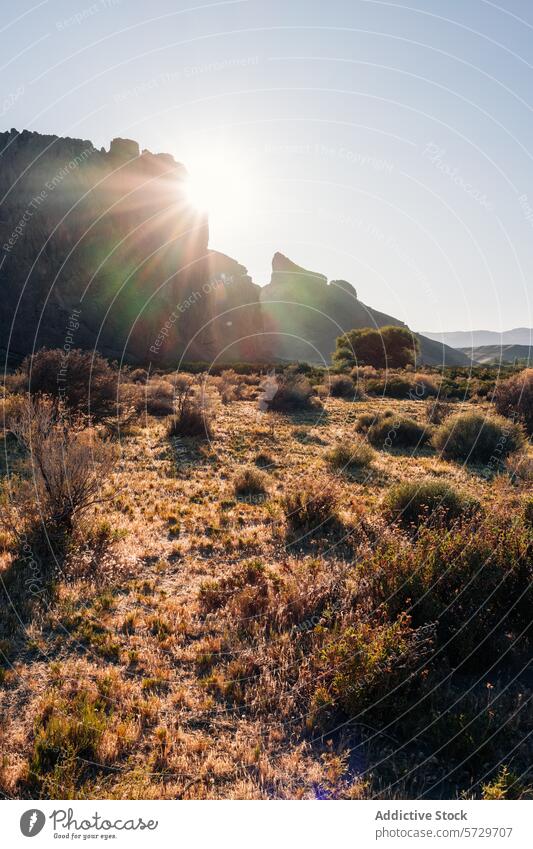 The sun's rays burst over a rugged cliff in the Patagonian wilderness, illuminating the shrubbery and dry grass in a serene morning sunburst cliffside sunray