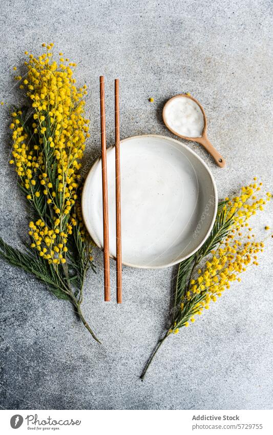 Top view of elegant minimalist table setting, with a ceramic plate and chopsticks, accented by the bright yellow of mimosa flowers against a textured grey background