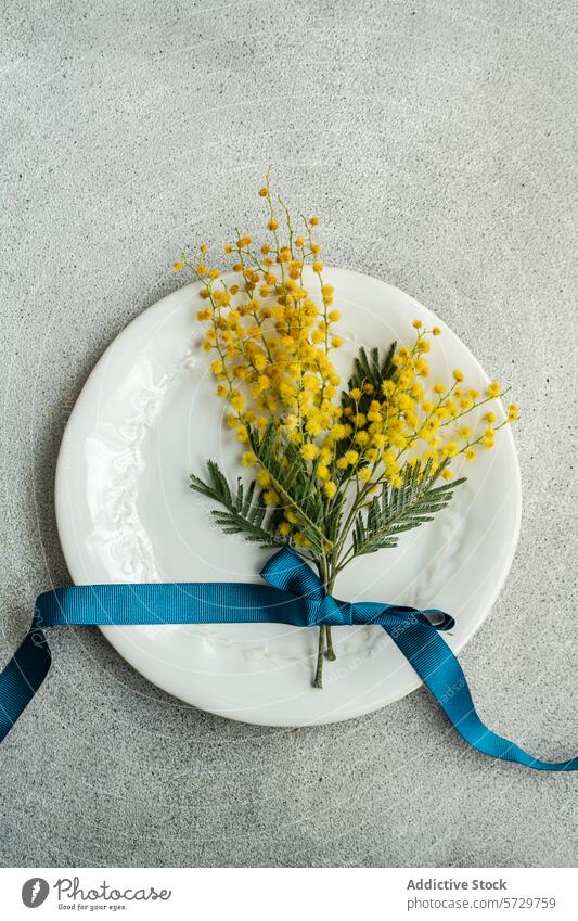 From above of ornate white plate holds a bright bouquet of mimosa flowers, elegantly tied with a deep blue ribbon on a textured grey surface yellow decor table