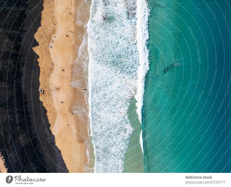Aerial View of Sandy Beach and Waves in Fuerteventura aerial fuerteventura drone beach sand wave sea turquoise water shore ocean coast coastline golden sandy