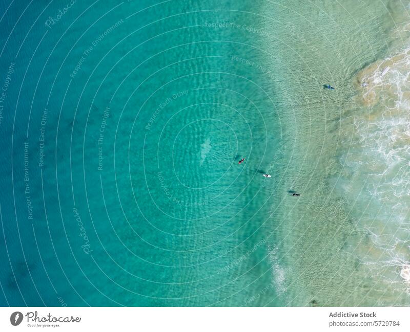 Aerial view of swimmers in clear waters off Fuerteventura coast aerial drone image fuerteventura crystal serenity tranquility beach sea ocean turquoise aqua