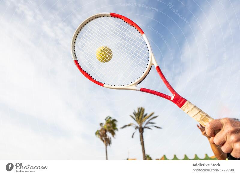 Anonymous tennis player swinging racket under sunny sky ball arm close-up blue palm tree outdoor sport game action grip serve yellow clear hit leisure activity