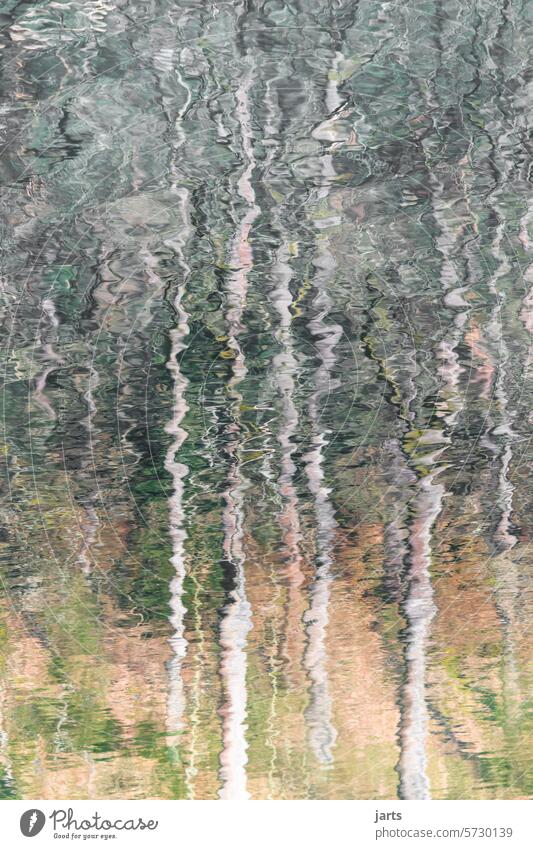 Forest in the water mirror trees Lake reflection Water Surface of water Water reflection Abstract Reflection tranquillity Idyll Peaceful Relaxation Calm