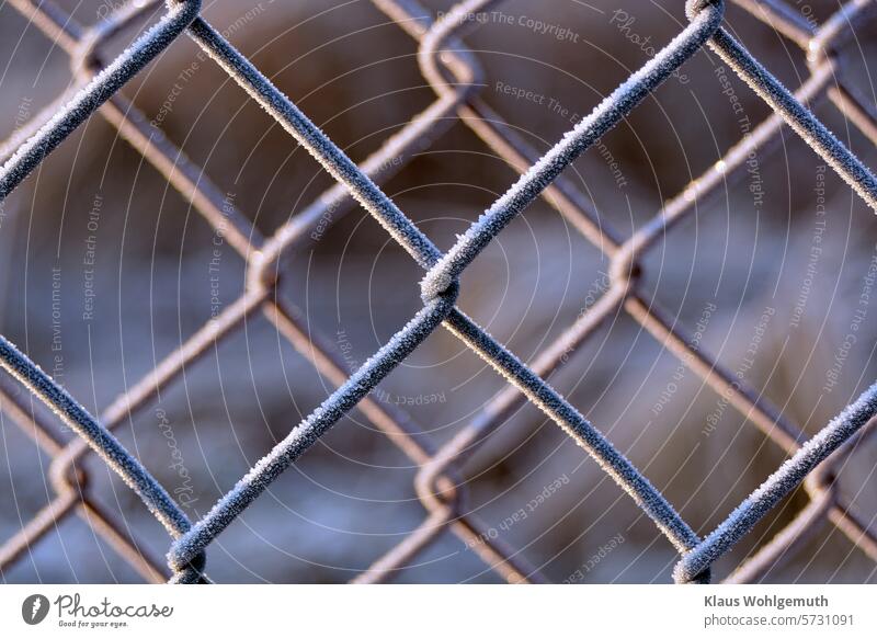 Better safe than sorry. Icy wire mesh fence, very close. Wire netting fence Fence Mature iced Icy fence chill Winter Cold Frost Close-up geometric shape
