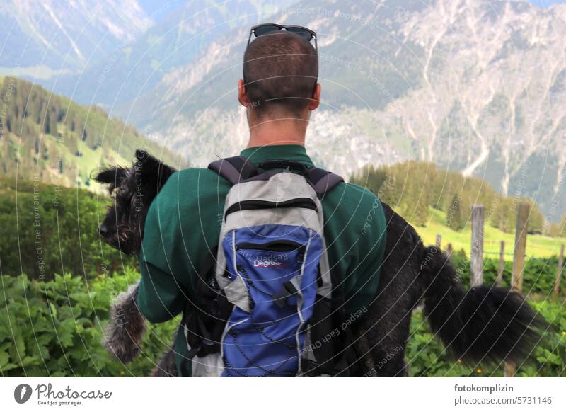 young man carrying dog in the mountains Dog Young man person Animal protection Carrying Man younger Pet old dog Love of animals Human-animal relationship