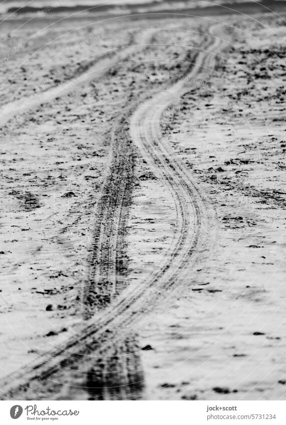 Tire tracks on the beach Skid marks Sand Imprint Tire tread Tracks Structures and shapes Lanes & trails Black & white photo Profile texture lane Sandy beach