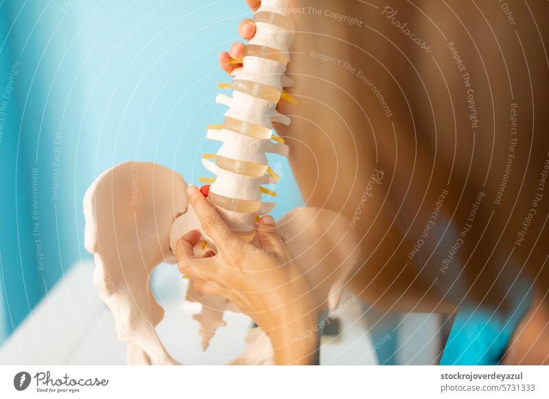 A physiotherapist explains a low back pain problem using an anatomical skeleton, pointing to the hip area clinic rehabilitation patient anatomy vertebrae spine