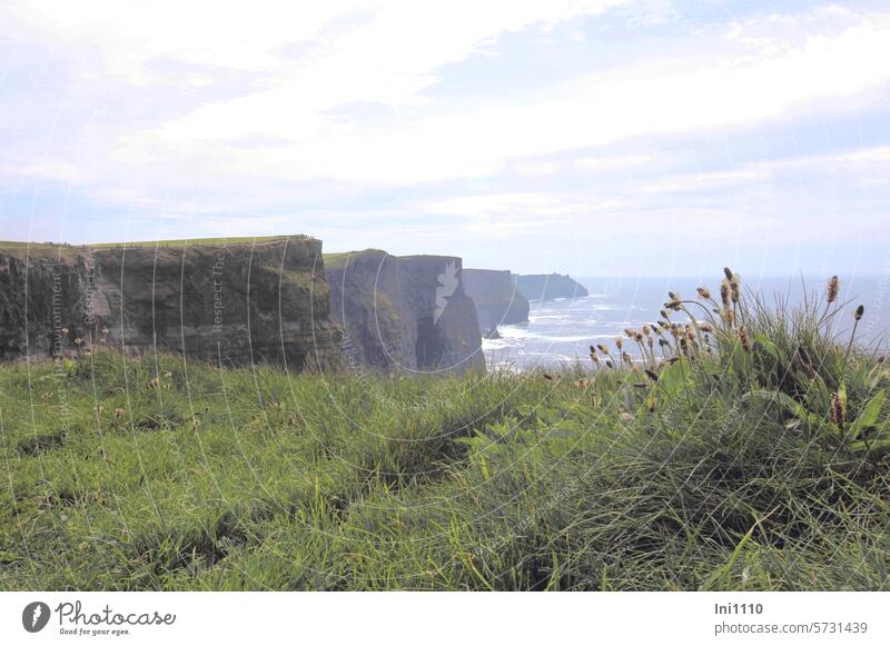 Cliffs of Moher I Ireland Nature Landscape natural spectacle Tourist Attraction Ocean Atlantic Ocean View over the sea Rock View into the distance cliffs