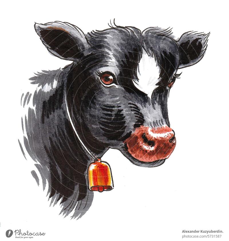 Young cow calf. Hand drawn ink and watercolor sketch bull baby beef animal farm dairy art artwork painting