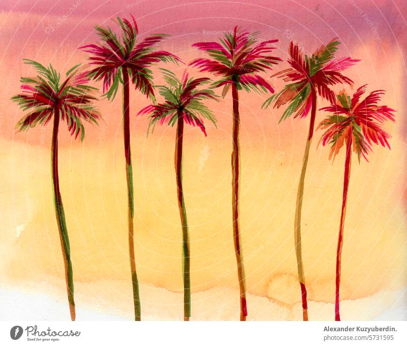 Palm trees in sunset. Hand drawn watercolor sketch palm palms palmtrees sky tropical art artwork painting