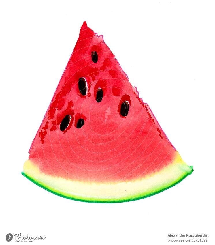 Slice of a watermelon. Watercolor sketch watercolor watercolour fruit berry food crop harvest juicy sweet art artwork