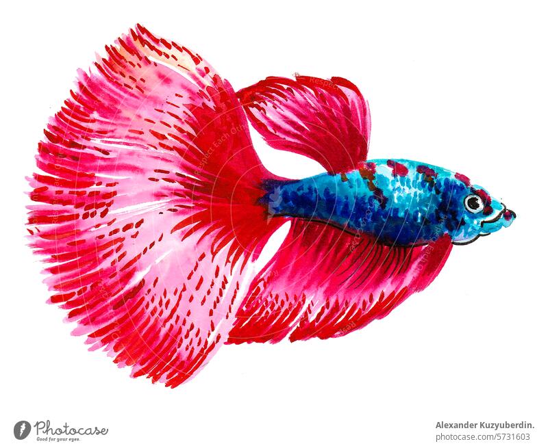 Tropical Fish Incorporated|3d Hd Aquarium Background Sticker - Tropical  Fish & Plants Decor