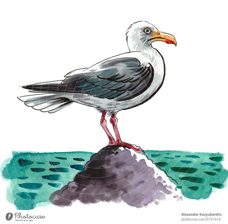Seagull bird sitting on a rock. Hand drawn watercolor sketch seagull animal nature art artwork painting illustration marine zoo
