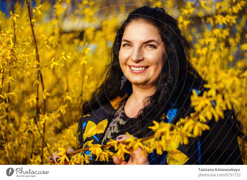 Happy young dark-haired plus size woman smiling happily in spring among yellow flowering forsythia bushes happy pleasure sun warmth blooming park garden nature