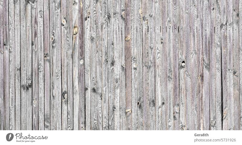 pattern surface of wooden boards abstract backdrop background blank brown construction detailed dirty fence grunge hardwood knots material natural old panel