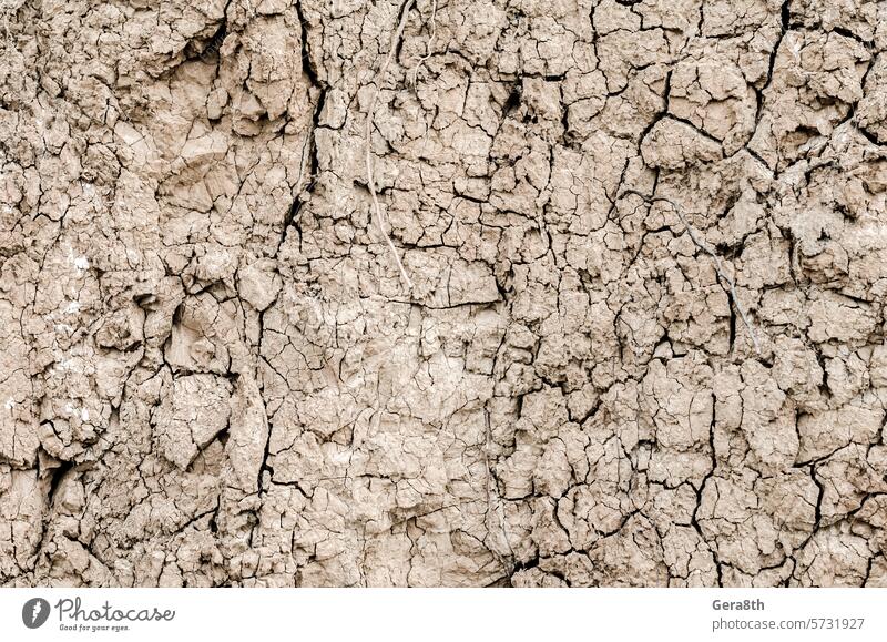 clay surface texture abandoned abstract arid backdrop background barren blank broken brown clay pattern clay texture cleft climate dead desert dirt dirty