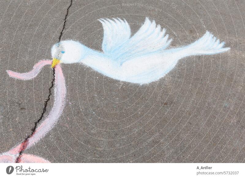 Dove of peace painted on asphalt with colored chalk Attachment Demonstration peace sign Peace Chalk drawing Friendship chalk writing Sign Peace Symbols