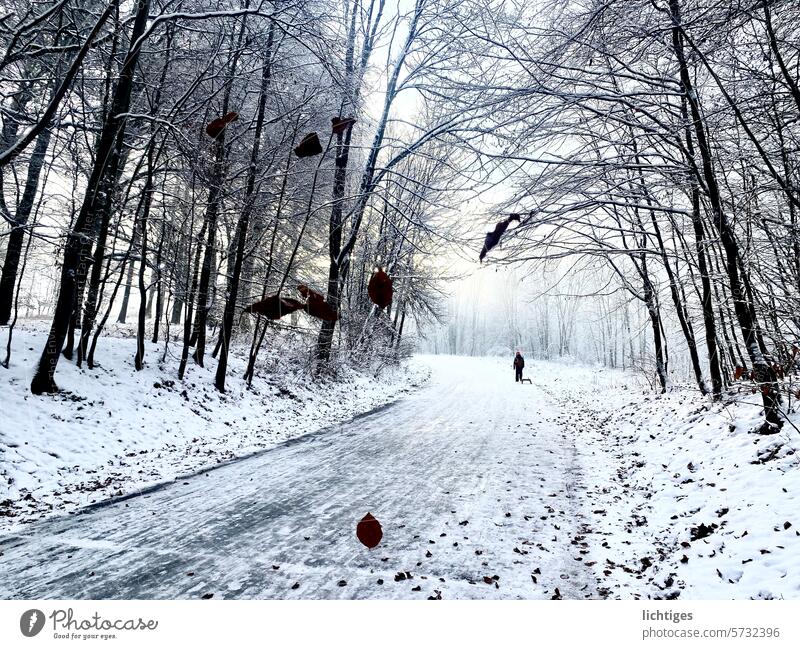 Tagblätter - Forest path in the snow with child and sledge Snow leaves forest path Winter chill foliage