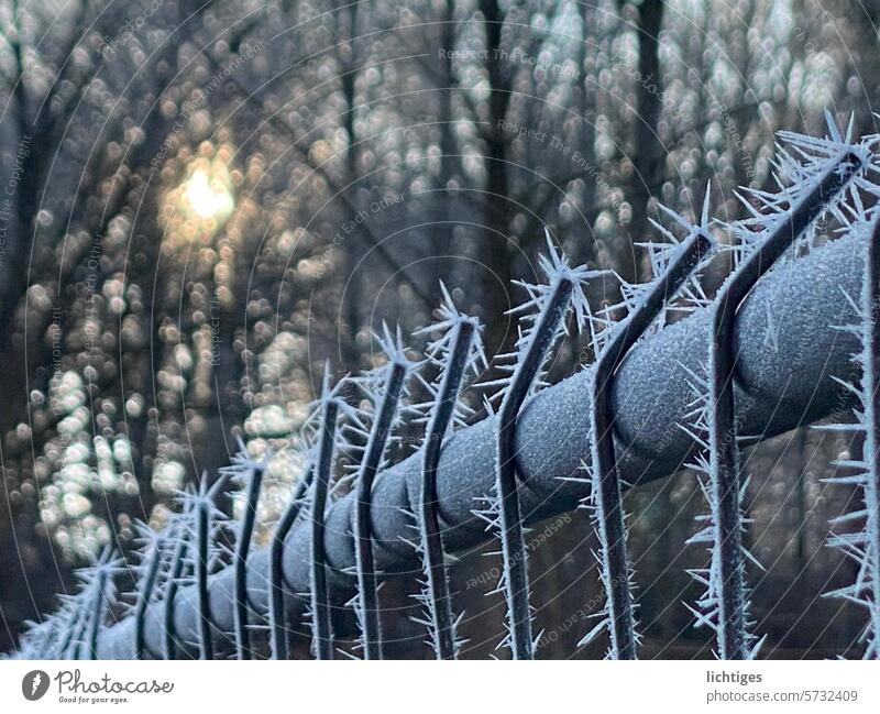 Spiked wire - ice crystals on the cold construction fence in the backlight of the winter sun Winter sun Fence chill Frost Cold Back-light
