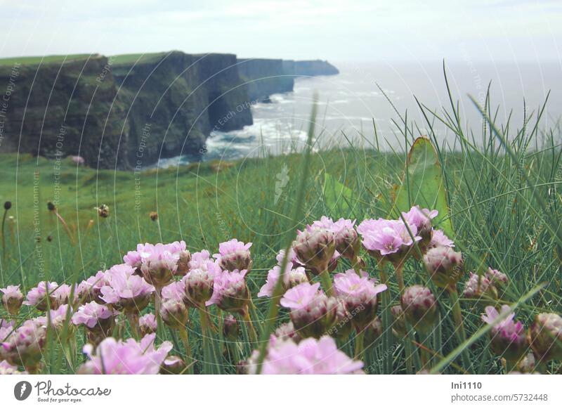 Cliffs of Moher III Ireland Nature Landscape natural spectacle Tourist Attraction Ocean Atlantic Ocean View over the sea Rock View into the distance cliffs