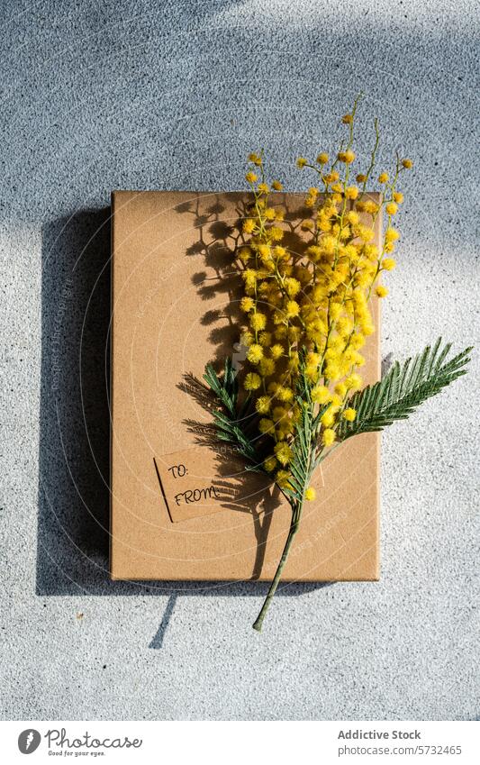 Gift box with mimosa flowers in sunlight gift shadow kraft tag bright rest casting yellow botanical present celebration spring festival women's day greeting