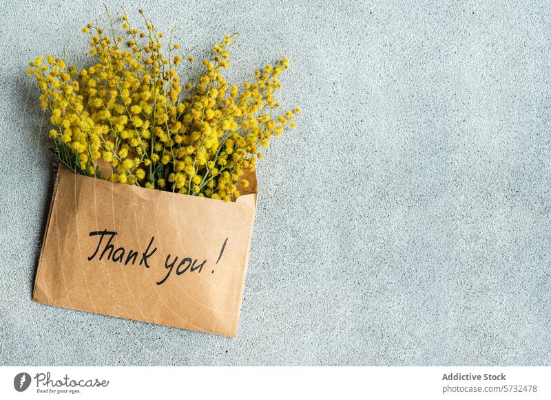 Envelope with Mimosa Flowers and a Thank You Message envelope mimosa flower thank you message gratitude appreciation bright yellow kraft paper grey background