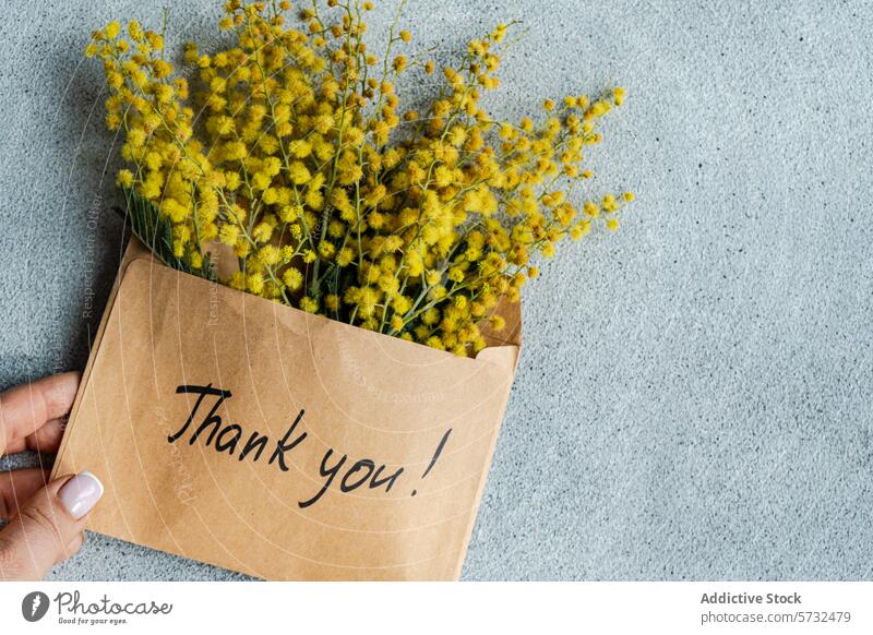 Bouquet of Mimosa Flowers With Thank You Note mimosa flower bouquet thank you note envelope hand kraft paper yellow appreciation greeting gift gratitude message