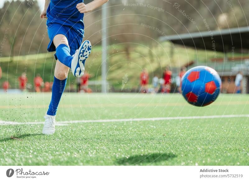 Soccer player kicking ball on a sunny day soccer blue red green field sport outdoor background team game match competition athletic action activity football