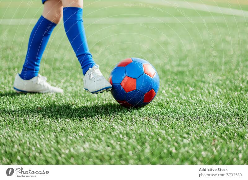 Soccer player preparing to kick the ball on field soccer green grass blue red sport football action athletic boot cleat competition equipment exercise game goal