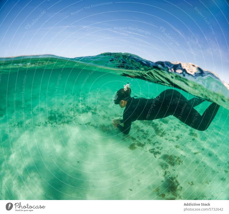 A snorkeler is captured in a serene moment, effortlessly free-diving above a sandy seabed, with the water's surface reflecting the sun's rays free-diver