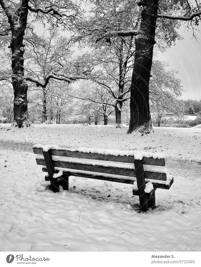 Snow-covered bench under trees in the park Bench Park snowed-in bench Winter White Deserted Cold Loneliness Park bench Seating Wooden bench Break Relaxation Sit
