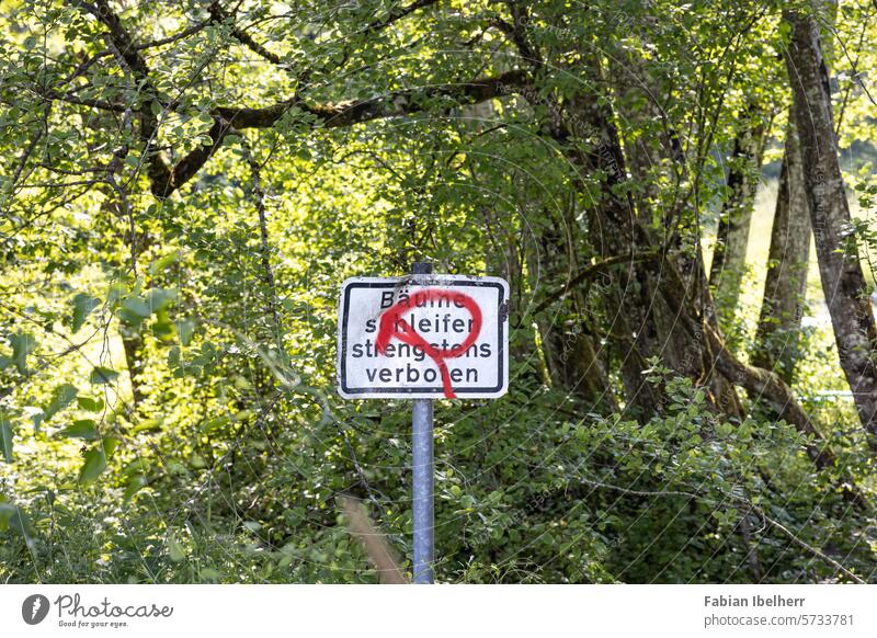 Traffic sign prohibits the grinding of trees Saw mill Forestry Road sign Germany Forest road