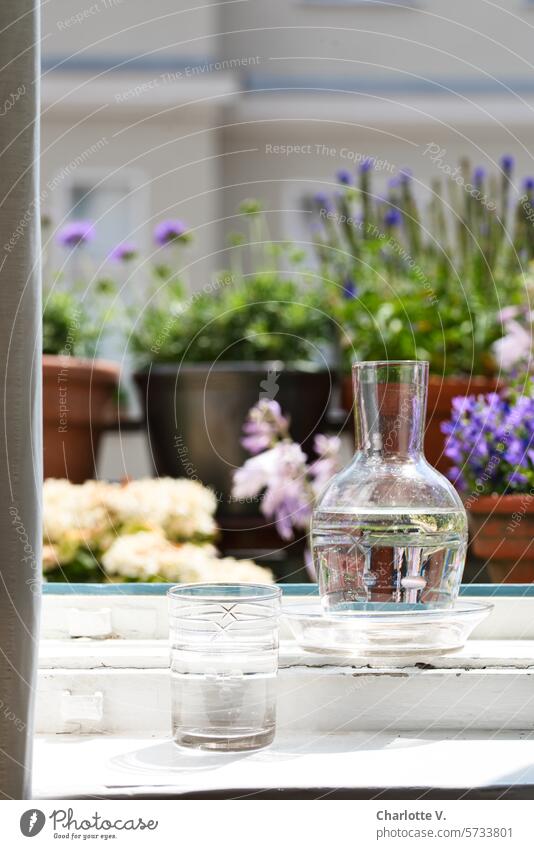 Cold, clear water | Glass filled with water and carafe filled with water on the windowsill. Behind it, flowering balcony plants. Tumbler Carafe water carafe