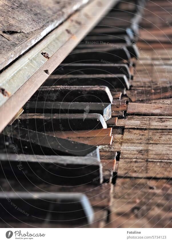 An old rotten piano in a lost place makes me sad. It's a shame when such great instruments are left to decay. Piano Music Musical instrument Keyboard instrument