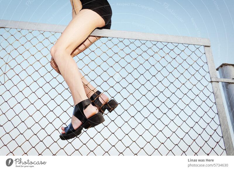 It’s a perfect summer afternoon with a clear blue sky on the horizon. A minimalistic image with only some metal fence as an obstacle for a pretty woman with long legs. She’s climbing it gracefully though there is a sense of riot in the air.