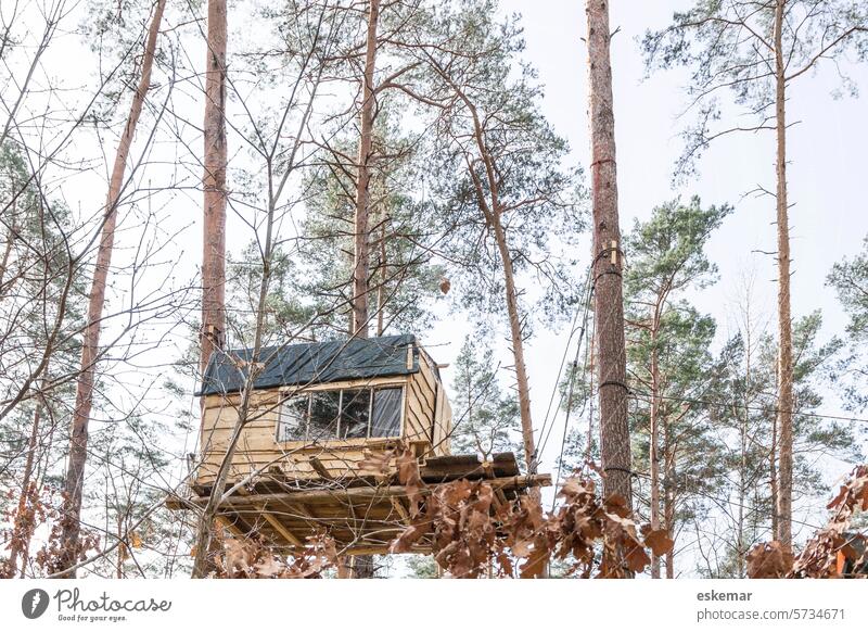 Tree house in an occupied forest Exterior shot Forest Grünheide Activism Forest Occupation Tesla Brandenburg Outdoors Day trees Climate change Nature