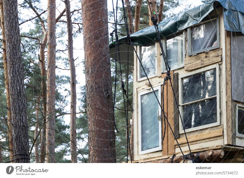Tree house in an occupied forest House (Residential Structure) Forest Occupancy Tesla cast Grünheide Gigafactory Forest Occupation Nature Exterior shot