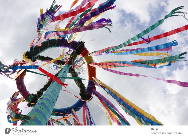 Maypole with fluttering ribbons May tree Tradition Spring Decoration Wreath tapes Worm's-eye view Sky Clouds Blow windy Judder trunk Exterior shot
