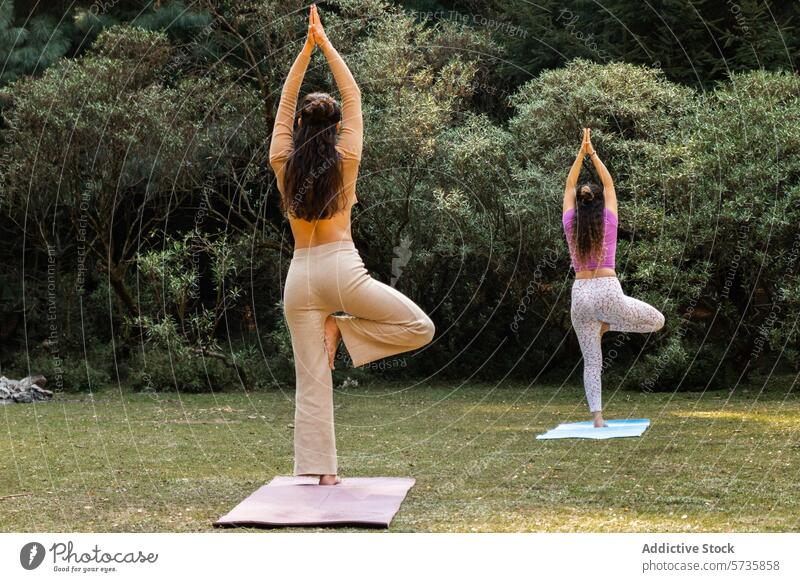 Two anonymous woman practice the tree pose in unison, surrounded by the dense foliage of a tranquil natural setting yoga tandem individuals greenery nature