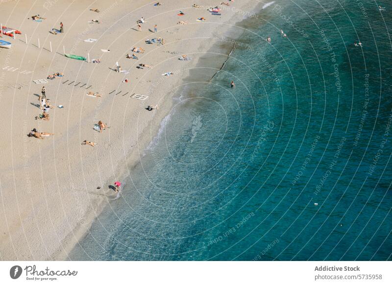 Aerial perspective of beachgoers on sunny day aerial view people sunbathing swimming sand water clear blue sea ocean shore coastline summer vacation leisure