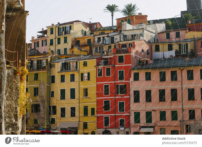 Colorful Italian Buildings in a Picturesque Town building color italy architecture residential town historic vibrant multicolored stack palm tree european