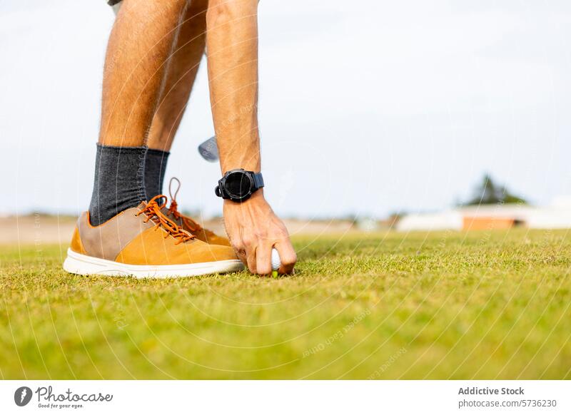 Golfer preparing for a game on a sunny day golfer ball tee grass lawn sport footwear shoe sock placing crouching course leisure outdoor activity close-up swing