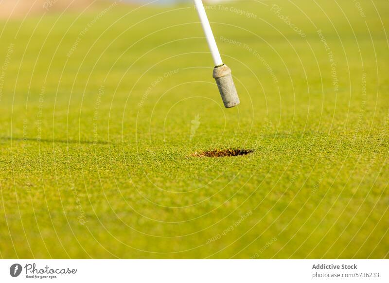 Close-up of golf club approaching the hole on green close-up sport golfing ball course golfer putt play outdoor equipment game precision grass leisure activity