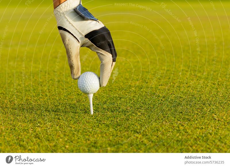 Close-up of a hand placing a golf ball on a tee glove grass green golf course close-up game sport preparation swing outdoor leisure equipment hobby secure
