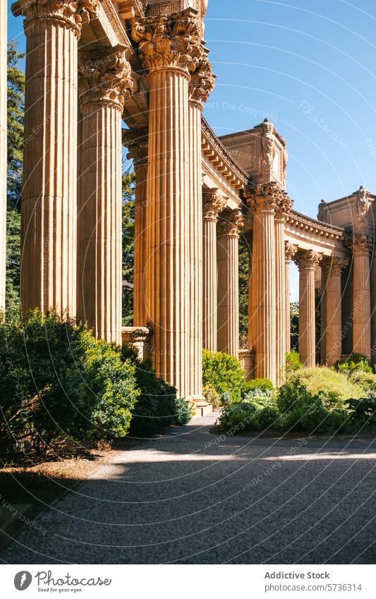The sunlit columns of the Palace of Fine Arts reveal their intricate details amidst the verdant greenery in San Francisco's spring architecture elegance