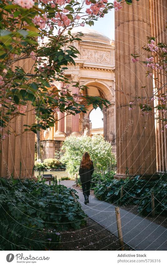 Anonymous woman walks along a path surrounded by spring blossoms at San Francisco's iconic Palace of Fine Arts, capturing a serene moment flower architecture