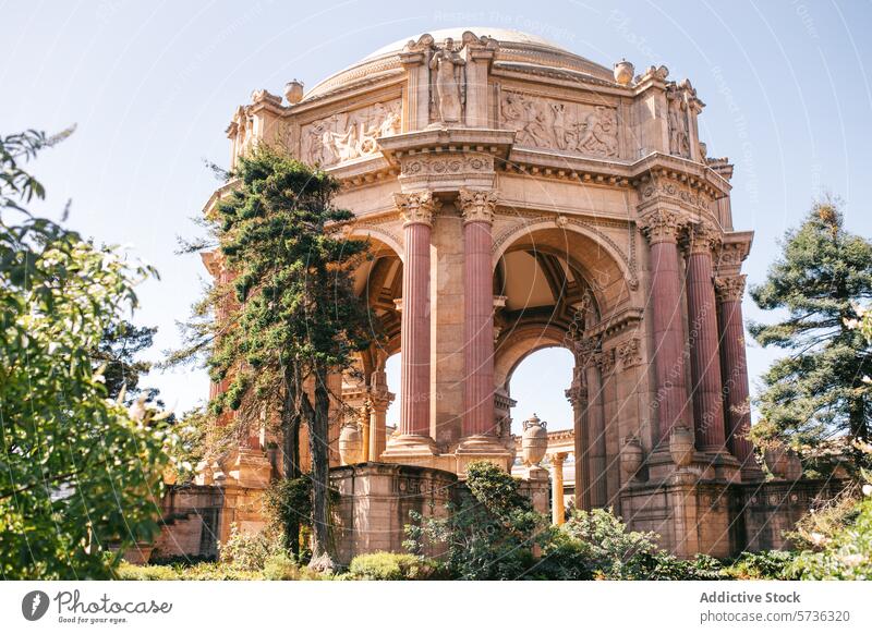 The grandeur of San Francisco's Palace of Fine Arts is showcased on a clear spring day, with lush greenery framing its classical architecture palace fine arts