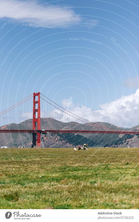 Picnickers relax on a lush field with the iconic Golden Gate Bridge rising majestically in the distance under a clear spring sky San Francisco cloud picnic
